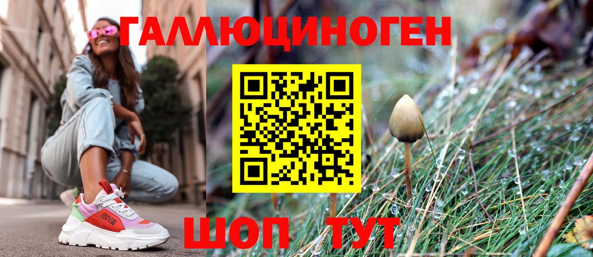 Галлюциногенные грибы MAGIC MUSHROOMS  Псилоцибиновые грибы мухоморы  Вход с VPN  как найти   Гусев 