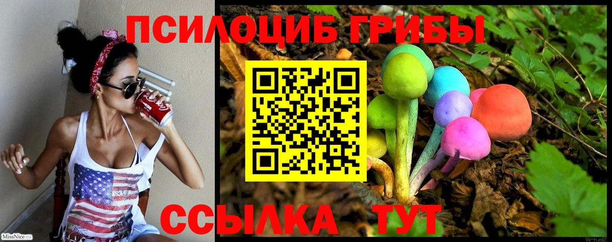 Псилоцибиновые грибы ЛСД Гусев