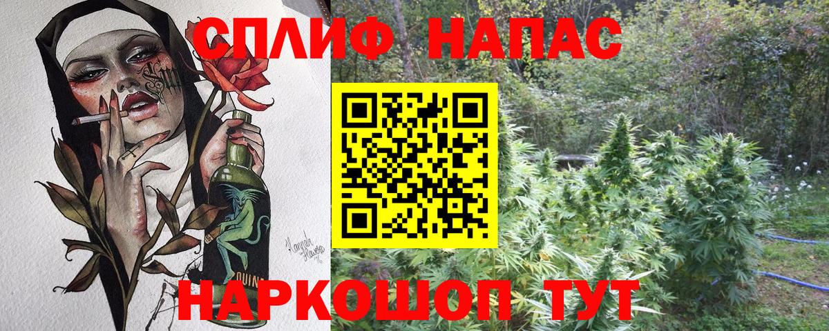 Каннабис Amnesia Гусев